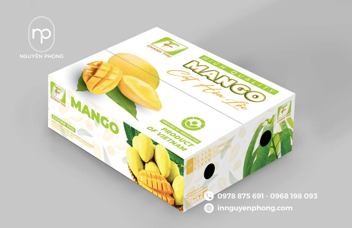 Mẫu thùng carton 5 lớp chắc chắn 